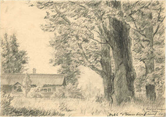 Титов Иван Филиппович. С. Коломенское. Дубы у домика Петра I